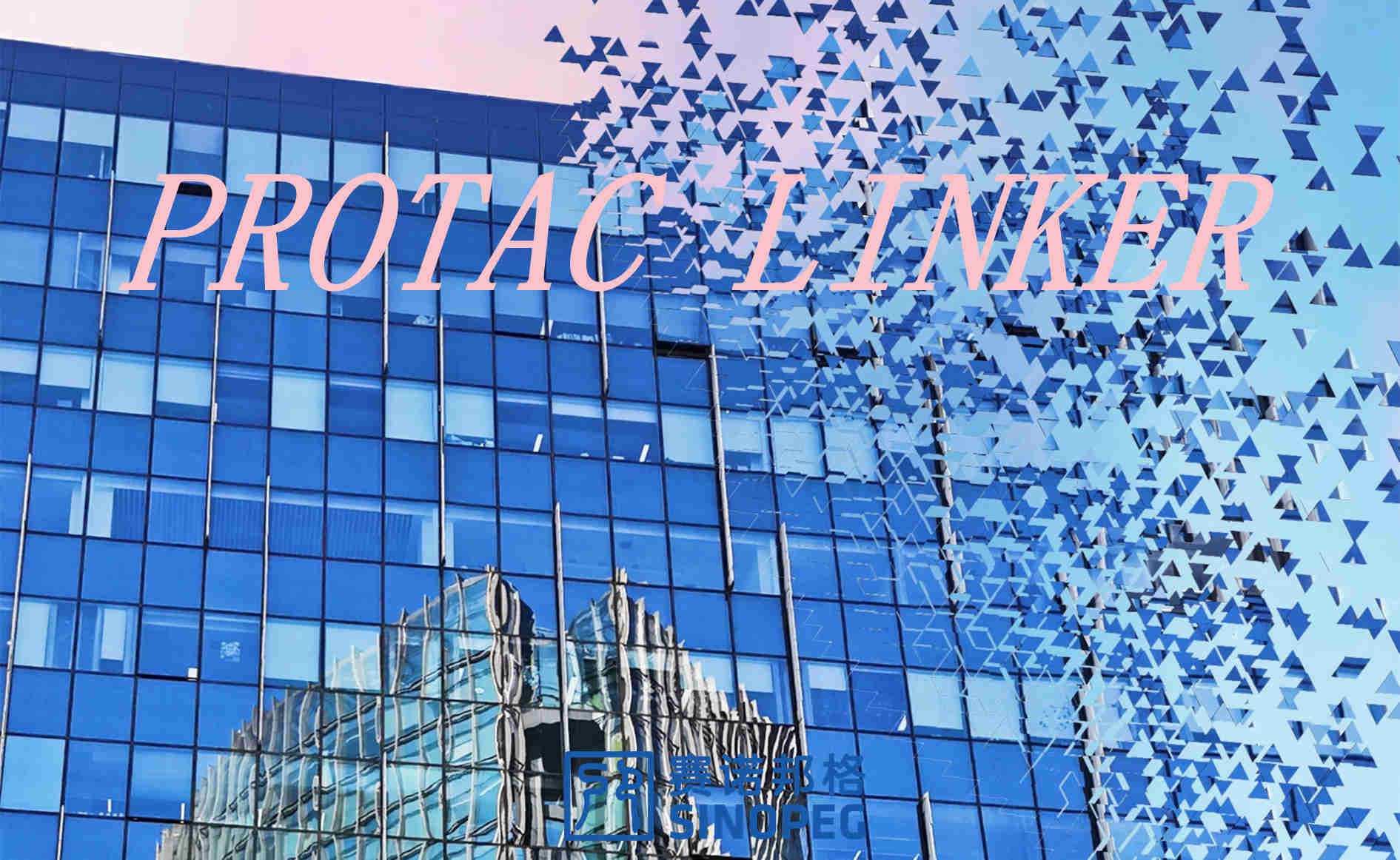 小分子药物研发：PROTAC 技术