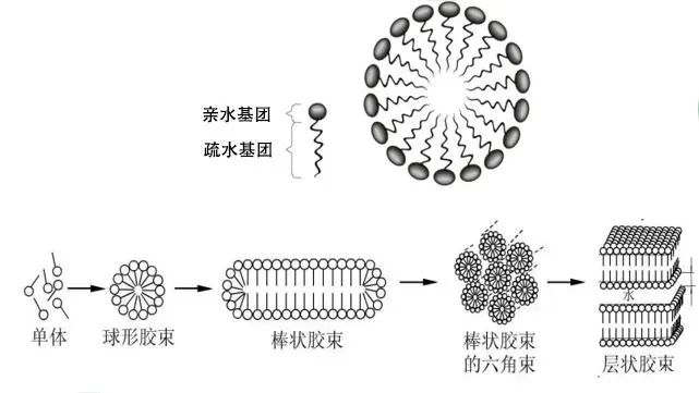 聚合物胶束技术及国产辅料供应