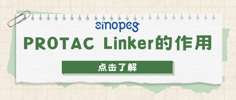 PROTAC Linker的作用