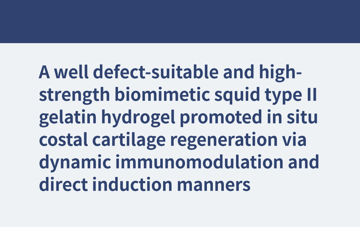 一种适合缺陷的高强度仿生鱿鱼明胶水凝胶通过动态免疫调节和直接诱导的方式促进肋软骨原位再生