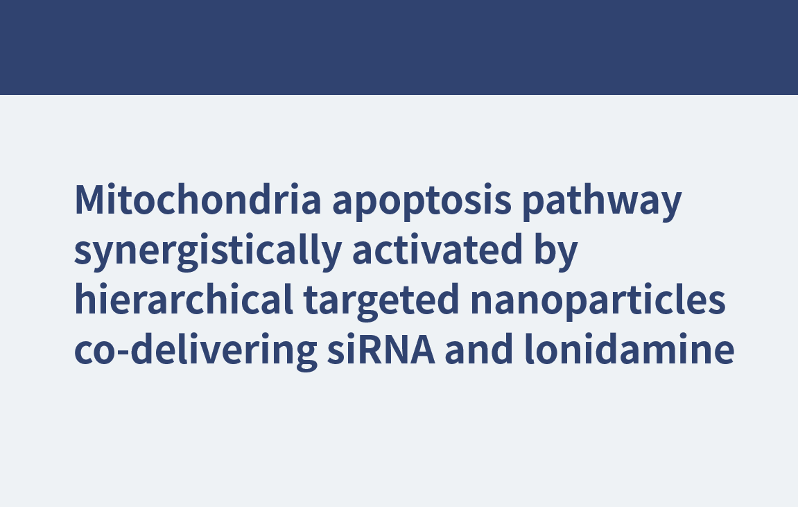 线粒体凋亡途径协同激活的分层靶向纳米颗粒共递送siRNA和lonidamine