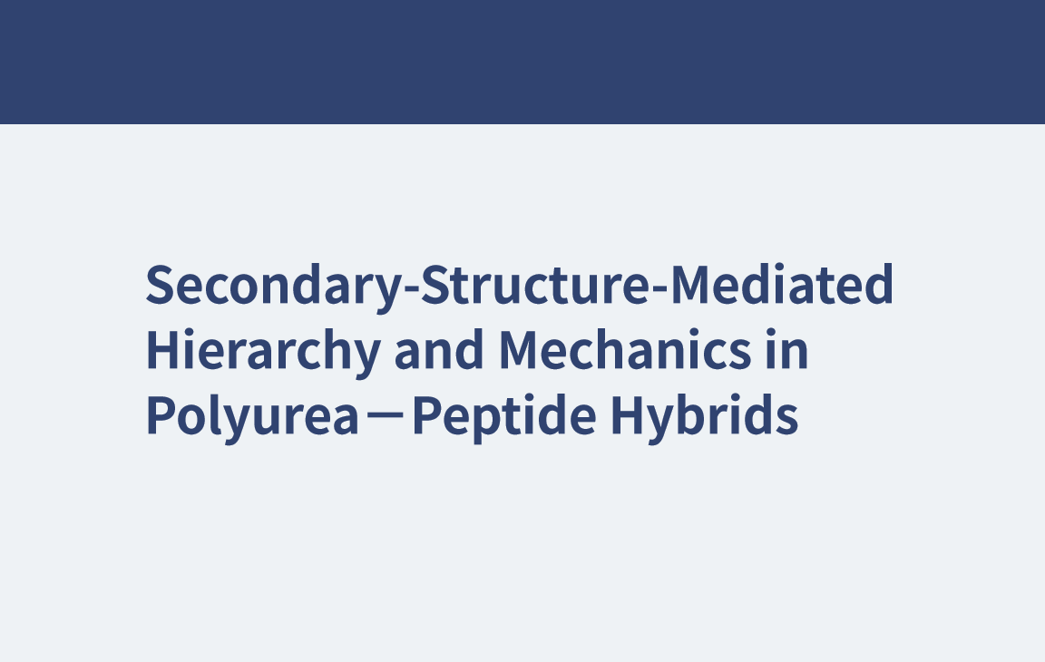 聚氨酯-肽复合物的二级结构介导的层次结构和力学