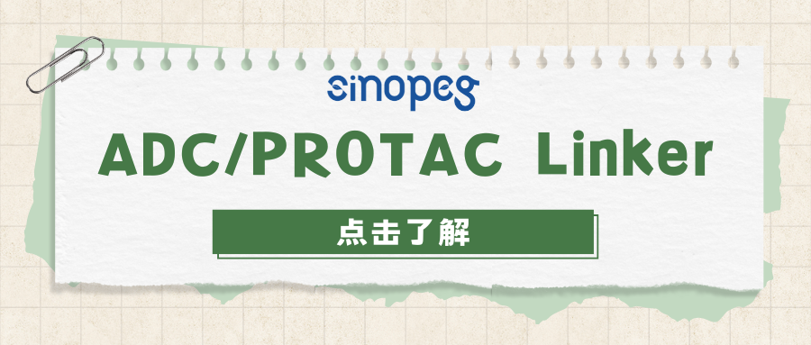 ADC/PROTAC Linker | N3-PEG24-NHS | CAS#: 2375600-46-5 | 赛诺邦格小分子PEG