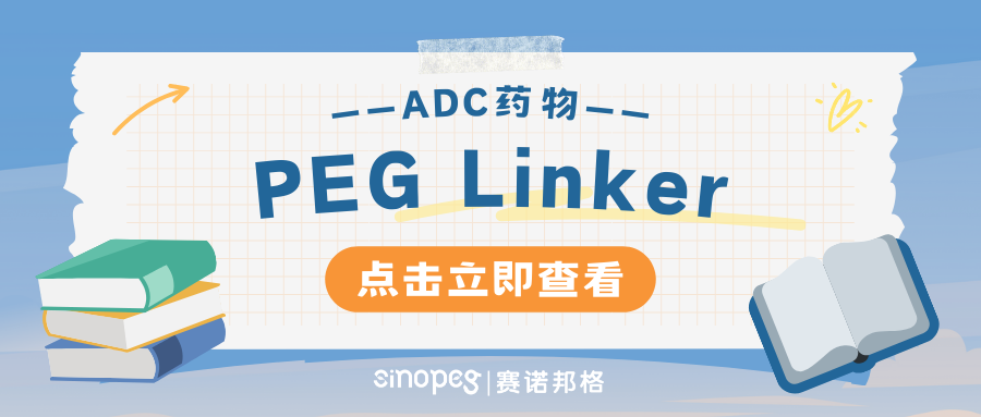 PEG Linker：促进ADC药物靶向治疗的关键连接剂