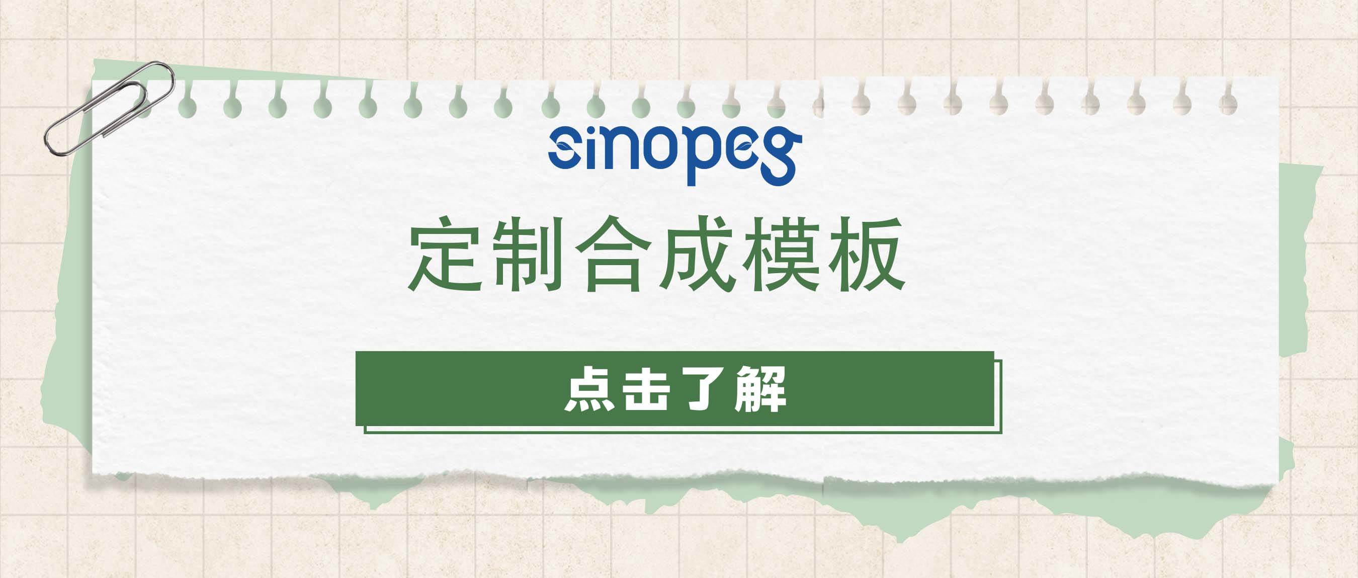 定制合成模板：个性化解决方案的成功之道